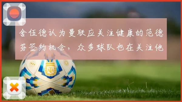 舍伍德认为曼联应关注健康的范德芬签约机会，众多球队也在关注他