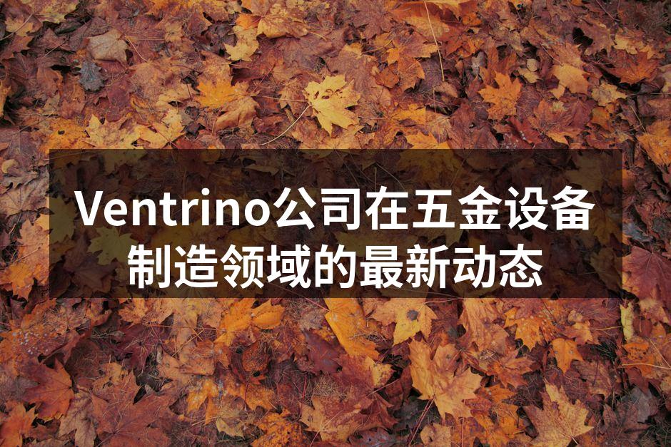 Ventrino团队在会议中积极讨论